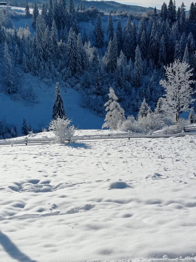 Ecottage Котедж Для Двох У Горах Із Чаном-Джакузі Slavske Exteriör bild