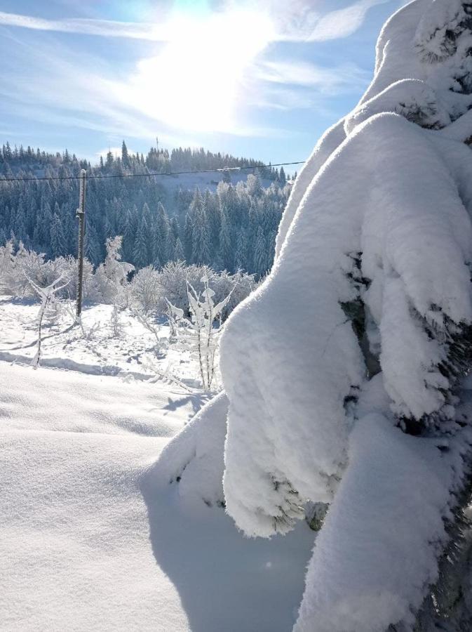 Ecottage Котедж Для Двох У Горах Із Чаном-Джакузі Slavske Exteriör bild