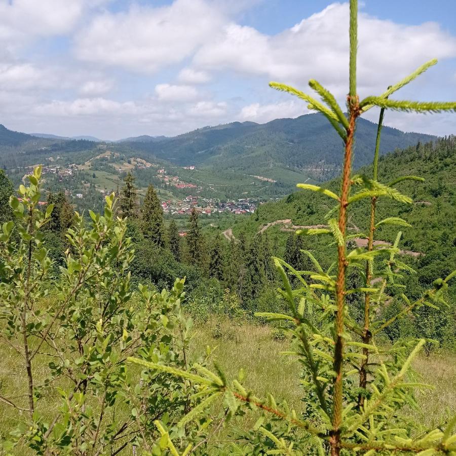 Ecottage Котедж Для Двох У Горах Із Чаном-Джакузі Slavske Exteriör bild